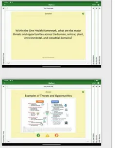 Flashcard question and answer